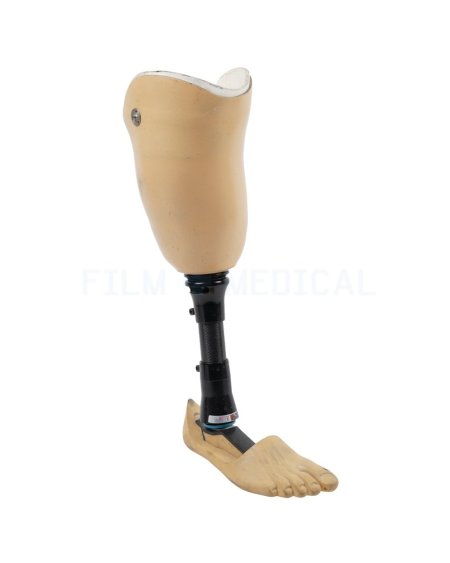 Prosthetic Lower Leg